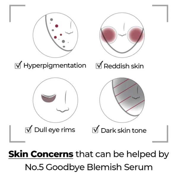 Numbuzin No.5 Goodbye Blemish Serum