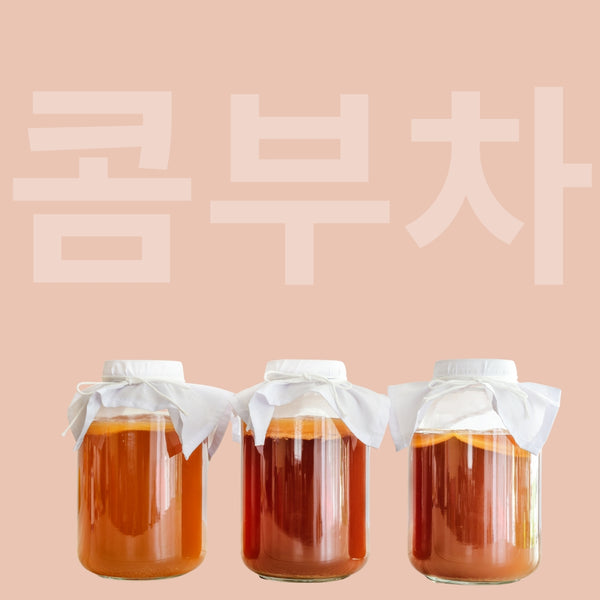 Kombucha 
