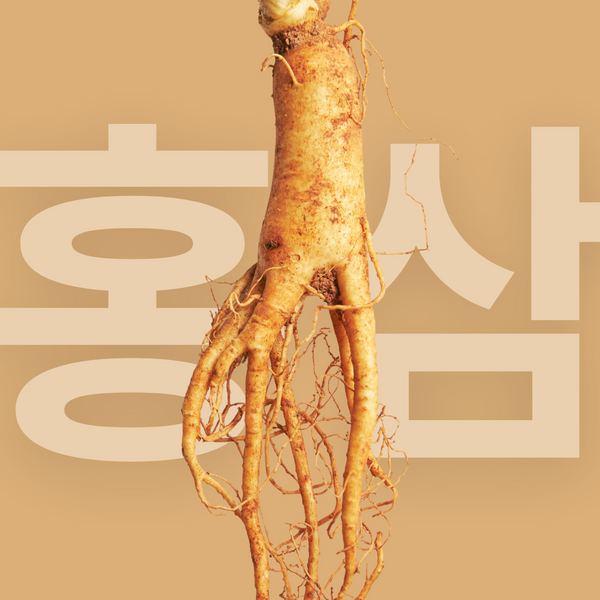 Ginseng