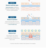 Roundalb crème solaire Birch Moisture Tone Up Sunscreen