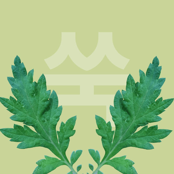 Armoise