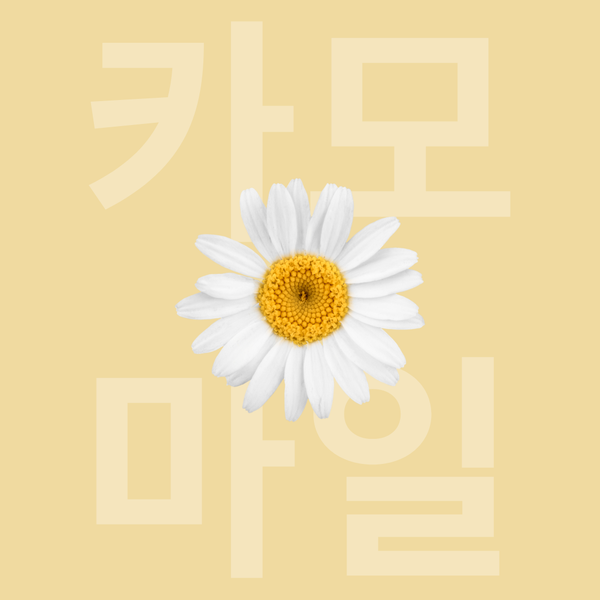 Fleur de Camomille