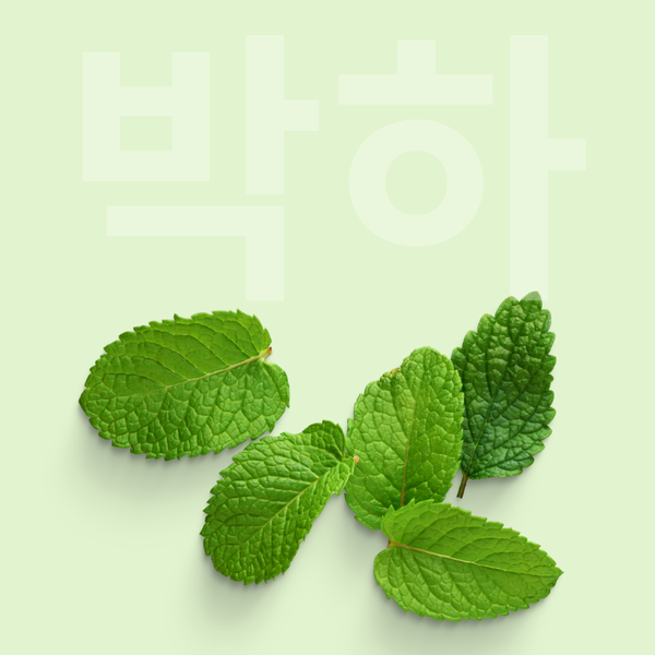 Menthe poivrée