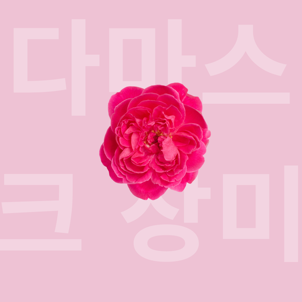 Rose de Damas