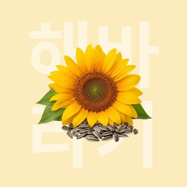 Huile de tournesol
