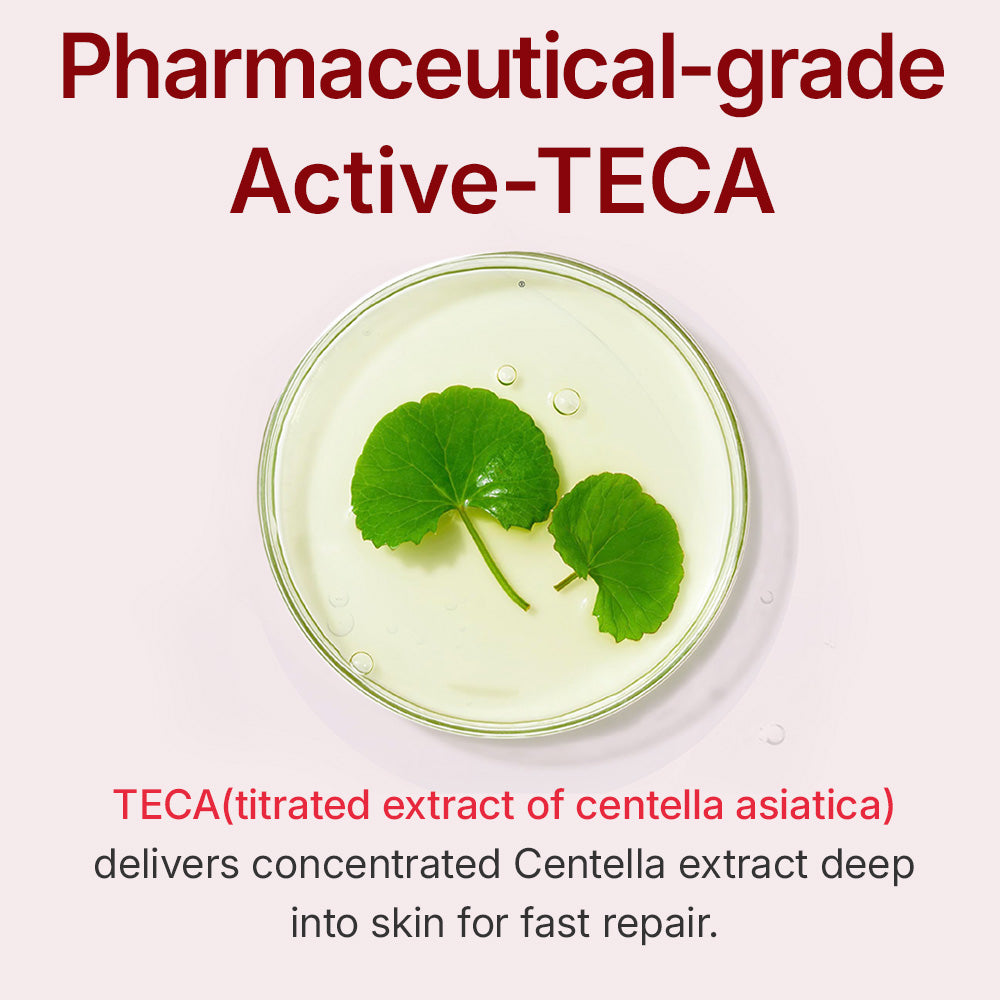 Active-TECA, extrait titré de Centella asiatica de qualité pharmaceutique