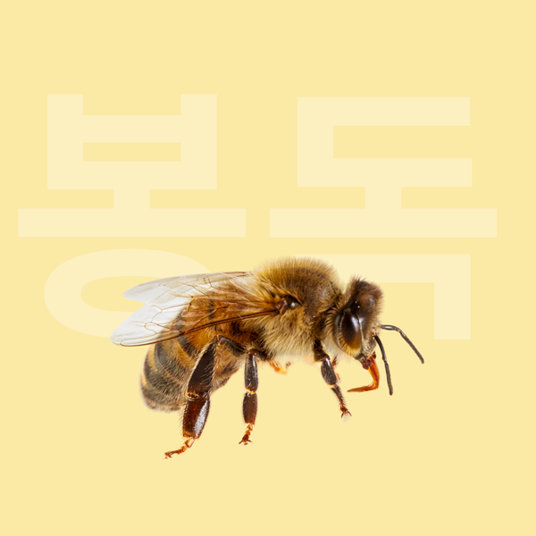 Venin d’abeille